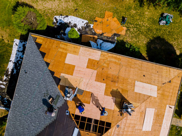 Best New Roof Installation  in Linden, TN