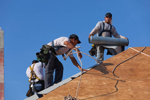 Best Local Roofing Companies  in Linden, TN