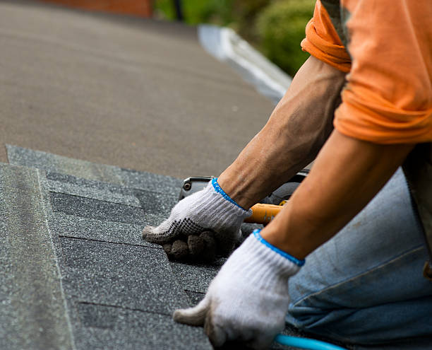Best Roof Gutter Cleaning  in Linden, TN