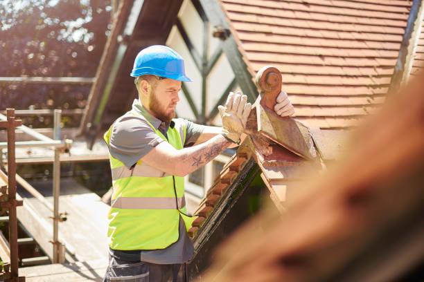 Best Shingle Roofing Installation  in Linden, TN