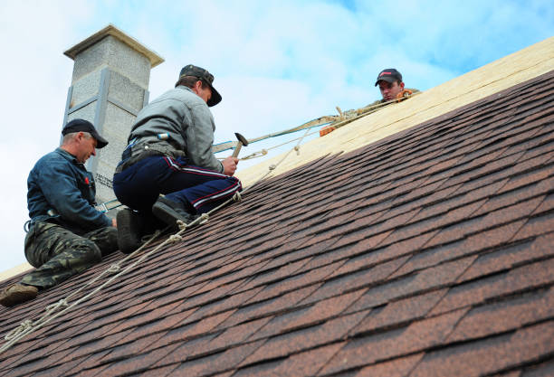 Best Metal Roofing Contractor  in Linden, TN